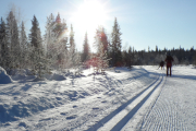 Cross Country Ski Trails