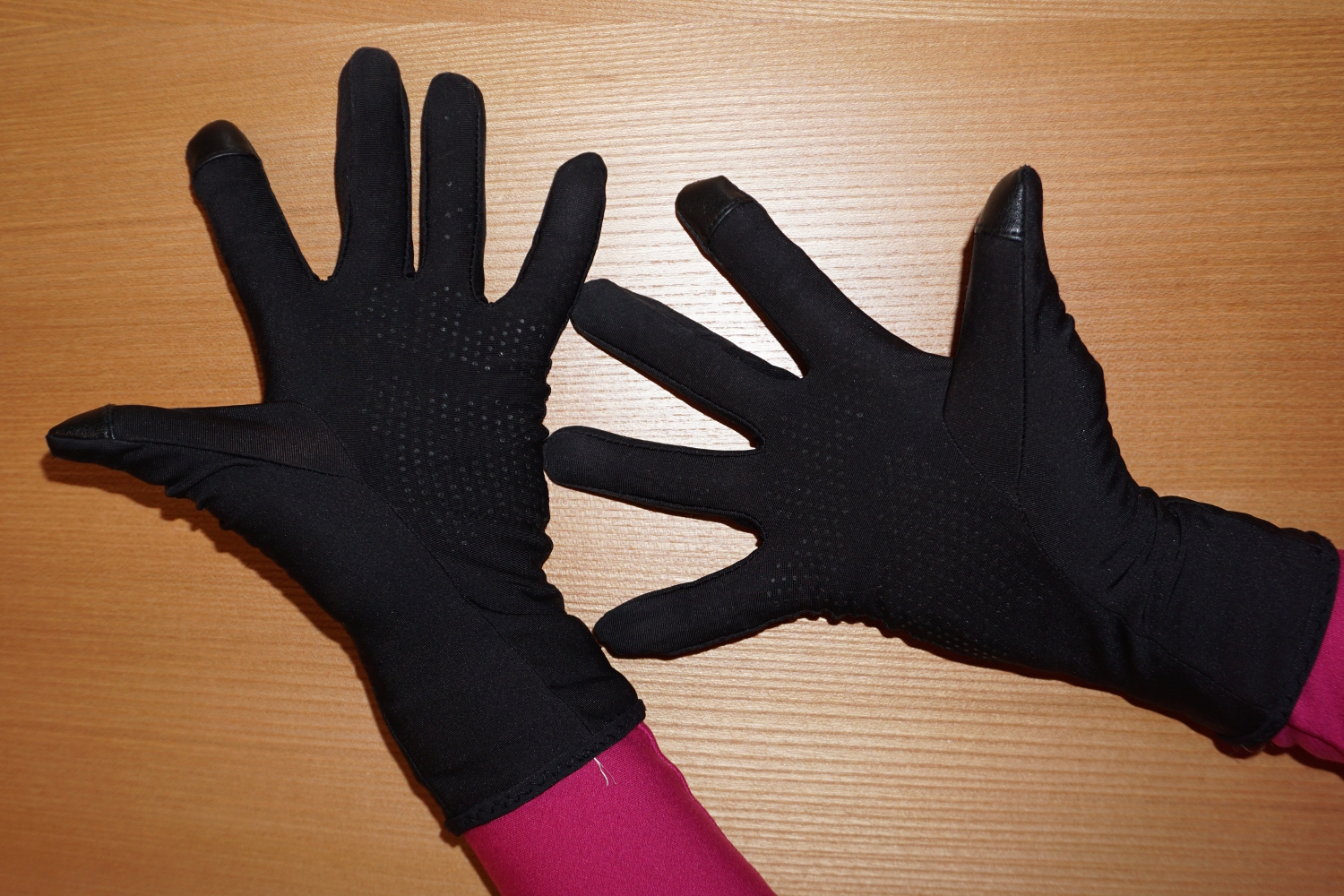 Ski Gloves